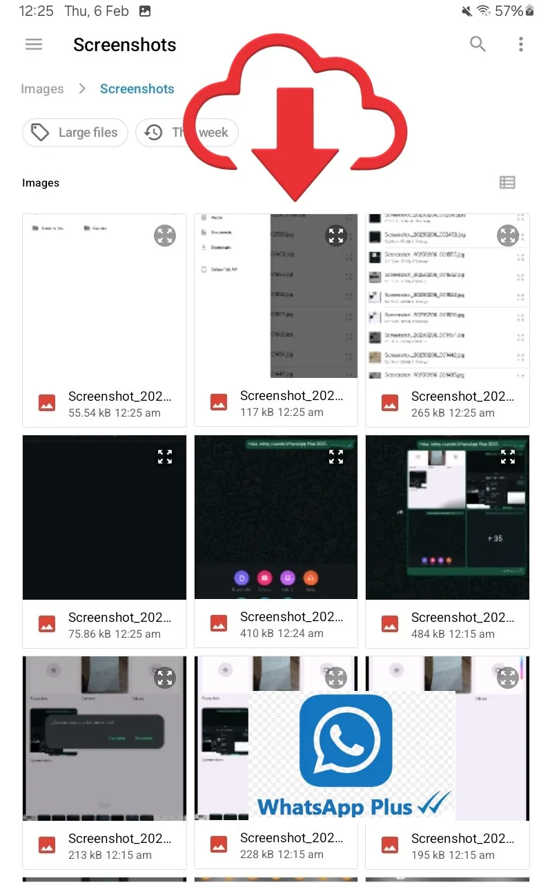 Se seleccionarán todas las capturas de pantalla