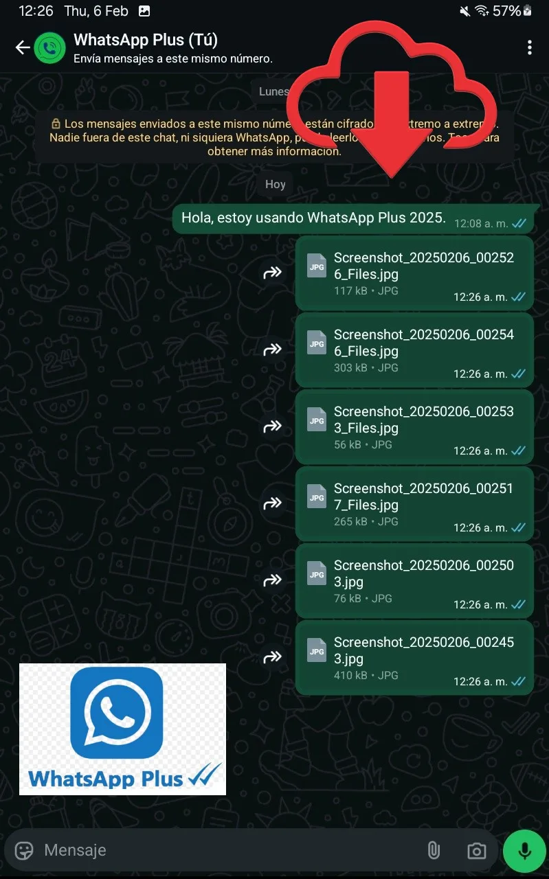 Todas las imágenes enviadas