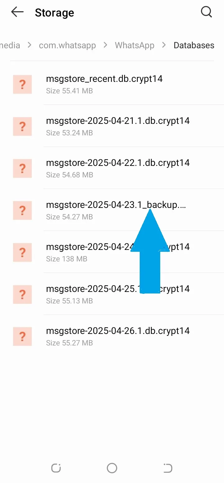 Cambia el nombre del archivo a ‘msgstore-2025-04-24_backup.db.crypt12’