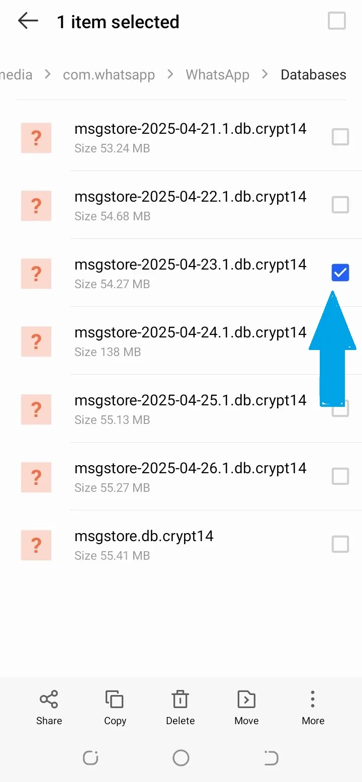 Localiza el archivo ‘msgstore-2025-04-24.db.crypt12’